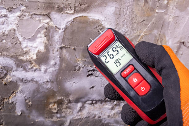 Mold Removal and Inspection in Scott City, MO
