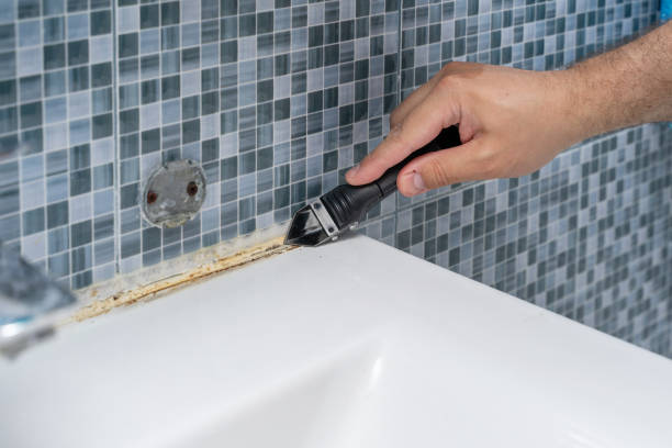 Best Best Mold Removal Companies  in Scott City, MO