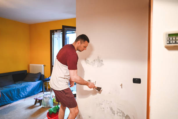 Best Mold Removal and Inspection  in Scott City, MO